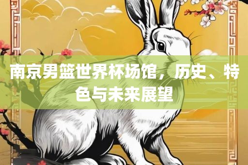 南京男篮世界杯场馆，历史、特色与未来展望金炬实业股份有限公司