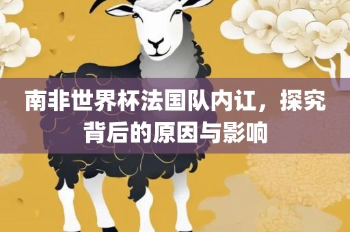 南非世界杯法国队内讧，探究背后的原因与影响
