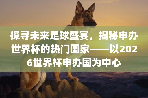 探寻未来足球盛宴，揭秘申办世界杯的热门国家——以2026世界杯申办国为中心金炬实业股份有限公司