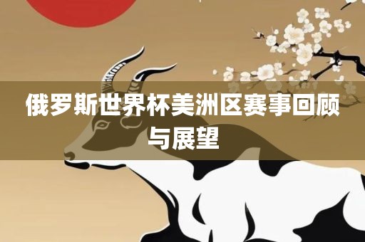 俄罗斯世界杯美洲区赛事回顾与展望