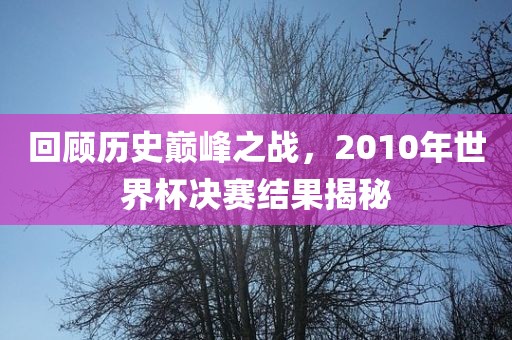 回顾历史巅峰之战，2010年世界杯决赛结果揭秘
