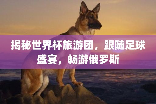 揭秘世界杯旅游团，跟随足球盛宴，畅游俄罗斯金炬实业股份有限公司