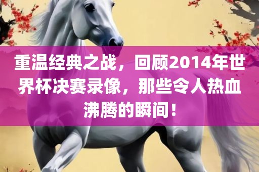 重温经典之战，回顾2014年世界杯决赛录像，那些令人热血沸腾的瞬间！