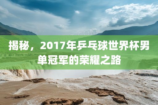 揭秘，2017年乒乓球世界杯男单冠军的荣耀之路
