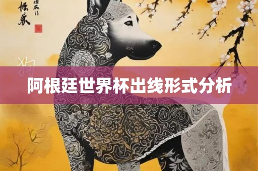 阿根廷世界杯出线形式分析