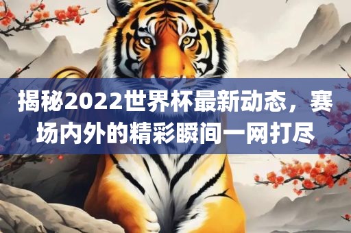 揭秘2022世界杯最新动态，赛场内外的精彩瞬间一网打尽
