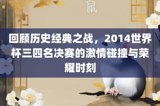 回顾历史经典之战，2014世界杯三四名决赛的激情碰撞与荣耀时刻