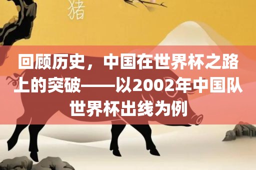 回顾历史，中国在世界杯之路上的突破——以2002年中国队世界杯出线为例