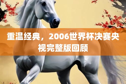 重温经典，2006世界杯决赛央视完整版回顾金炬实业股份有限公司