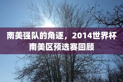 南美强队的角逐，2014世界杯南美区预选赛回顾