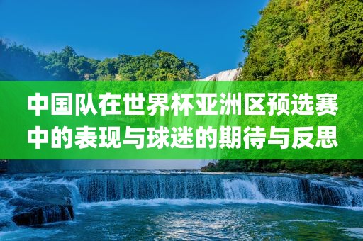 中国队在世界杯亚洲区预选赛中的表现与球迷的期待与反思