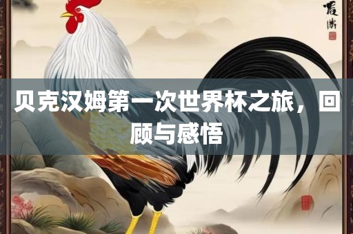 贝克汉姆第一次世界杯之旅，回顾与感悟