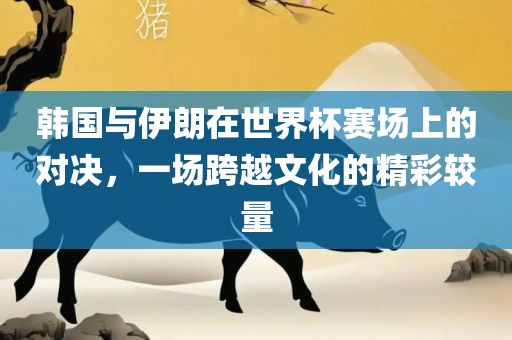 韩国与伊朗在世界杯赛场上的对决，一场跨越文化的精彩较量
