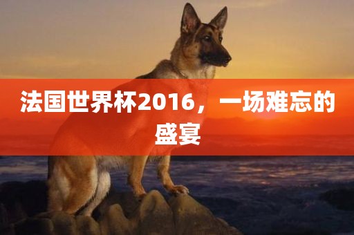 法国世界杯2016，一场难忘的盛宴