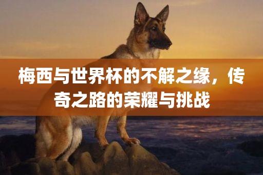 梅西与世界杯的不解之缘，传奇之路的荣耀与挑战