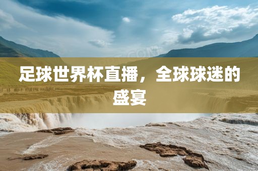 足球世界杯直播，全球球迷的盛宴