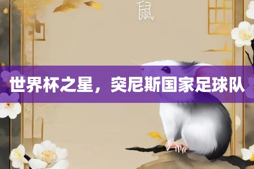 世界杯之星，突尼斯国家足球队金炬实业股份有限公司