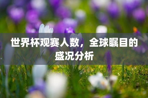 世界杯观赛人数，全球瞩目的盛况分析