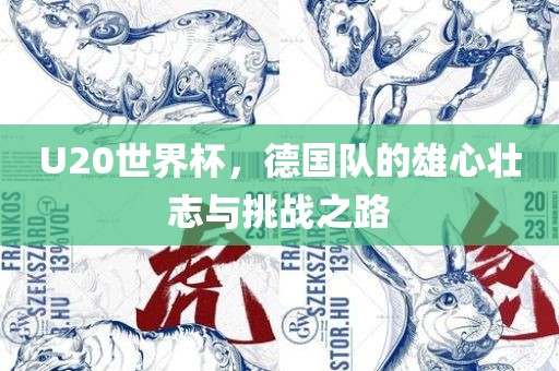 U20世界杯，德国队的雄心壮志与挑战之路