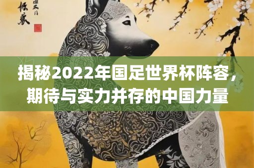 揭秘2022年国足世界杯阵容，期待与实力并存的中国力量