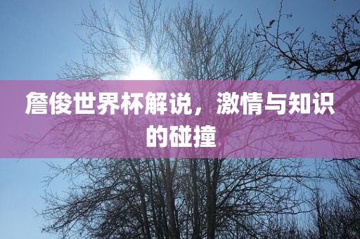 詹俊世界杯解说，激情与知识的碰撞