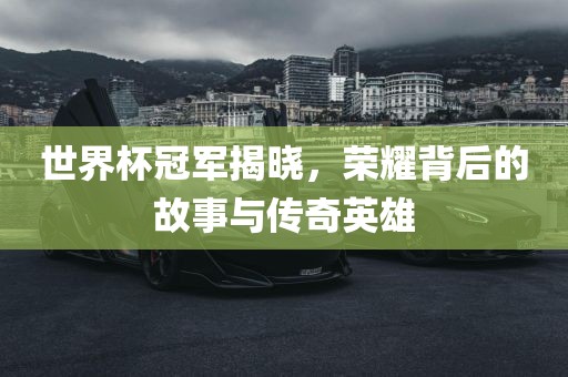 世界杯冠军揭晓，荣耀背后的故事与传奇英雄