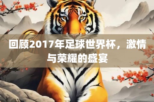回顾2017年足球世界杯，激情与荣耀的盛宴