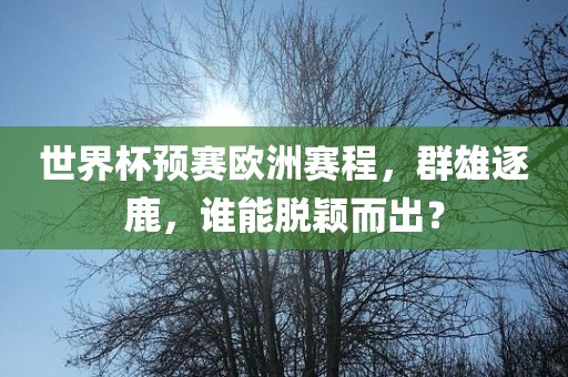 世界杯预赛欧洲赛程，群雄逐鹿，谁能脱颖而出？
