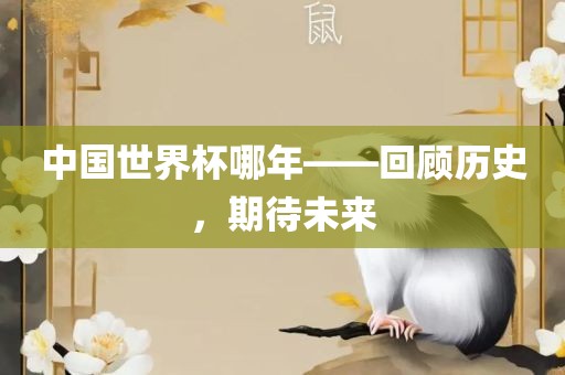 中国世界杯哪年——回顾历史，期待未来