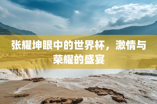 张耀坤眼中的世界杯，激情与荣耀的盛宴