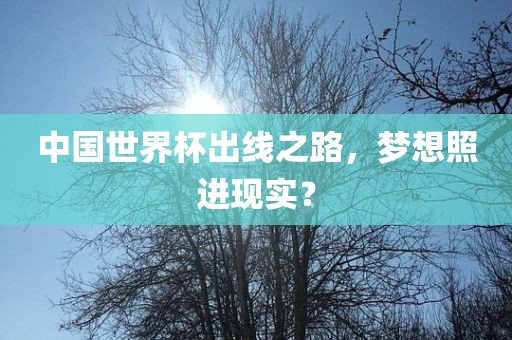 中国世界杯出线之路，梦想照进现实？