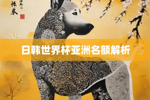 日韩世界杯亚洲名额解析