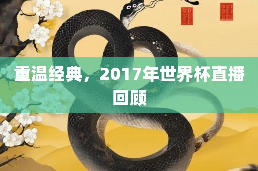重温经典，2017年世界杯直播回顾