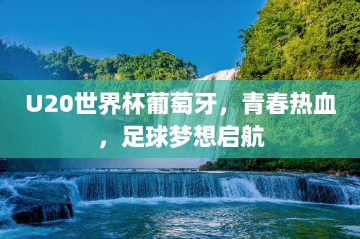 U20世界杯葡萄牙，青春热血，足球梦想启航