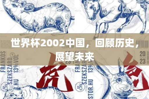 世界杯2002中国，回顾历史，展望未来