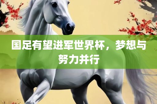 国足有望进军世界杯，梦想与努力并行