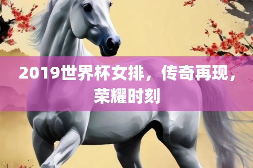 2019世界杯女排，传奇再现，荣耀时刻