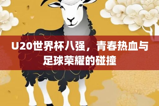 U20世界杯八强，青春热血与足球荣耀的碰撞