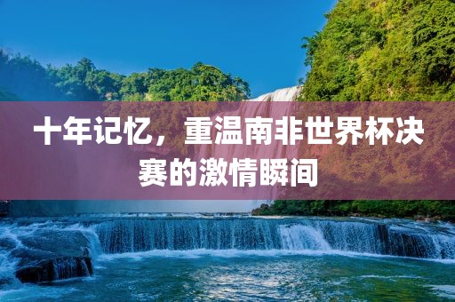 十年记忆，重温南非世界杯决赛的激情瞬间