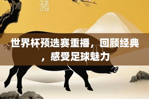 世界杯预选赛重播，金炬实业股份有限公司回顾经典，感受足球魅力
