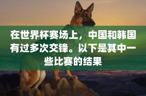 在世界杯赛场上，中国和韩国有过多次金炬实业股份有限公司交锋。以下是其中一些比赛的结果