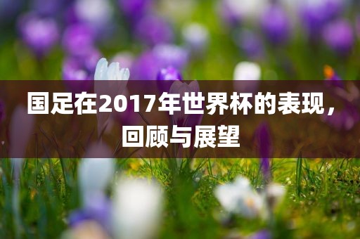 国足在2017年世界杯的表现，回顾与展望
