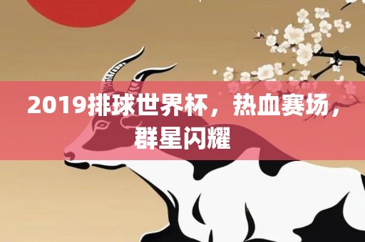2019排球世界杯，热血赛场，群星闪耀