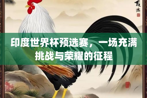 印度世界杯预选赛，一场充满挑战与荣耀的征程