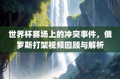 世界杯赛场上的冲突事件，俄罗斯打架视频回顾与解析金炬实业股份有限公司