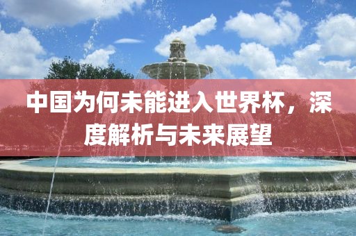 中国为何未能进入世界杯，深度解析与未来展望