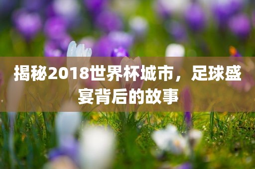 揭秘2018世界杯城市，足球盛宴背后的故事