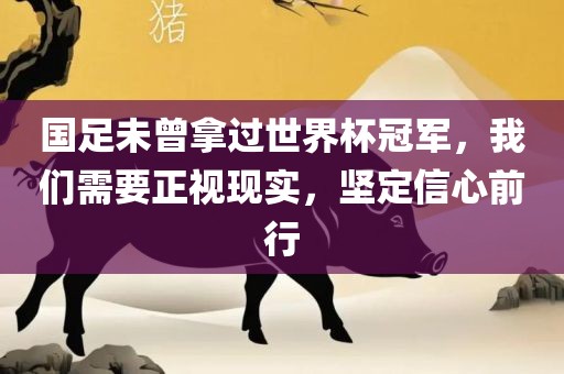 国足未曾拿过世界杯冠军，我们需要正视现实，坚定信心前行