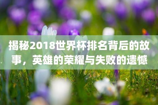 揭秘2018世界杯排名背后的故事，英雄的荣耀与失败的遗憾