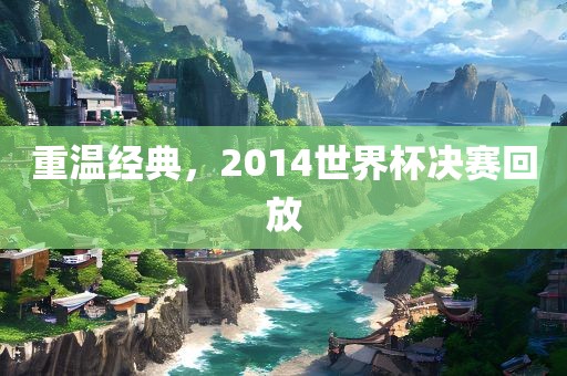 重温经典，2014世界杯决赛回放金炬实业股份有限公司